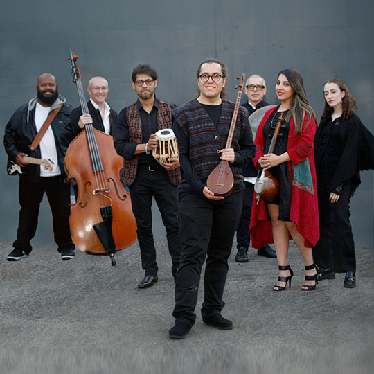 0_9282_31Oct2025142433_AVAYE ROOD MARRICKVILLE InnerWest2.jpg